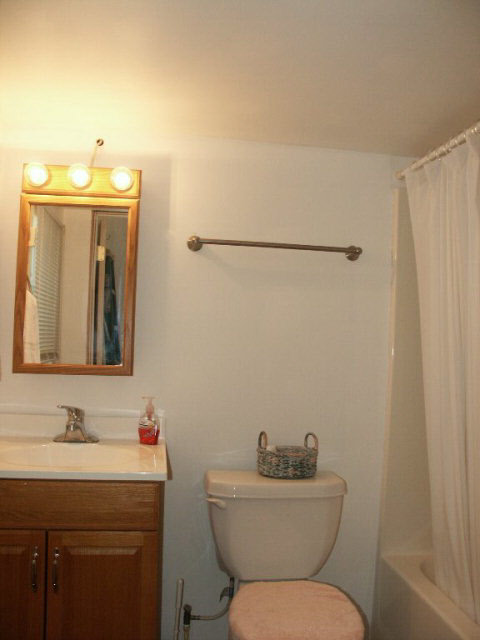 402 Maria Drive Lillian, AL 36549 - Photo 6 of 14 Bath in Park Model