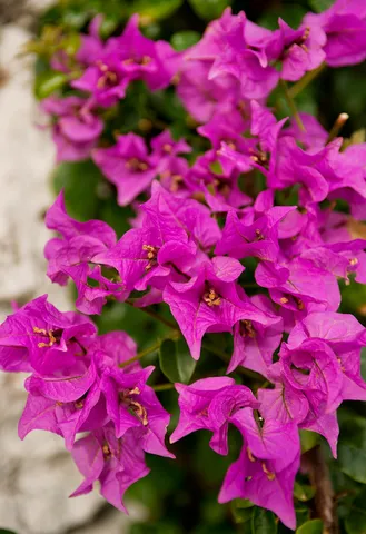 $1,760,000 | 2760 South Ocean Boulevard, Unit 116, Palm Beach, FL 33480