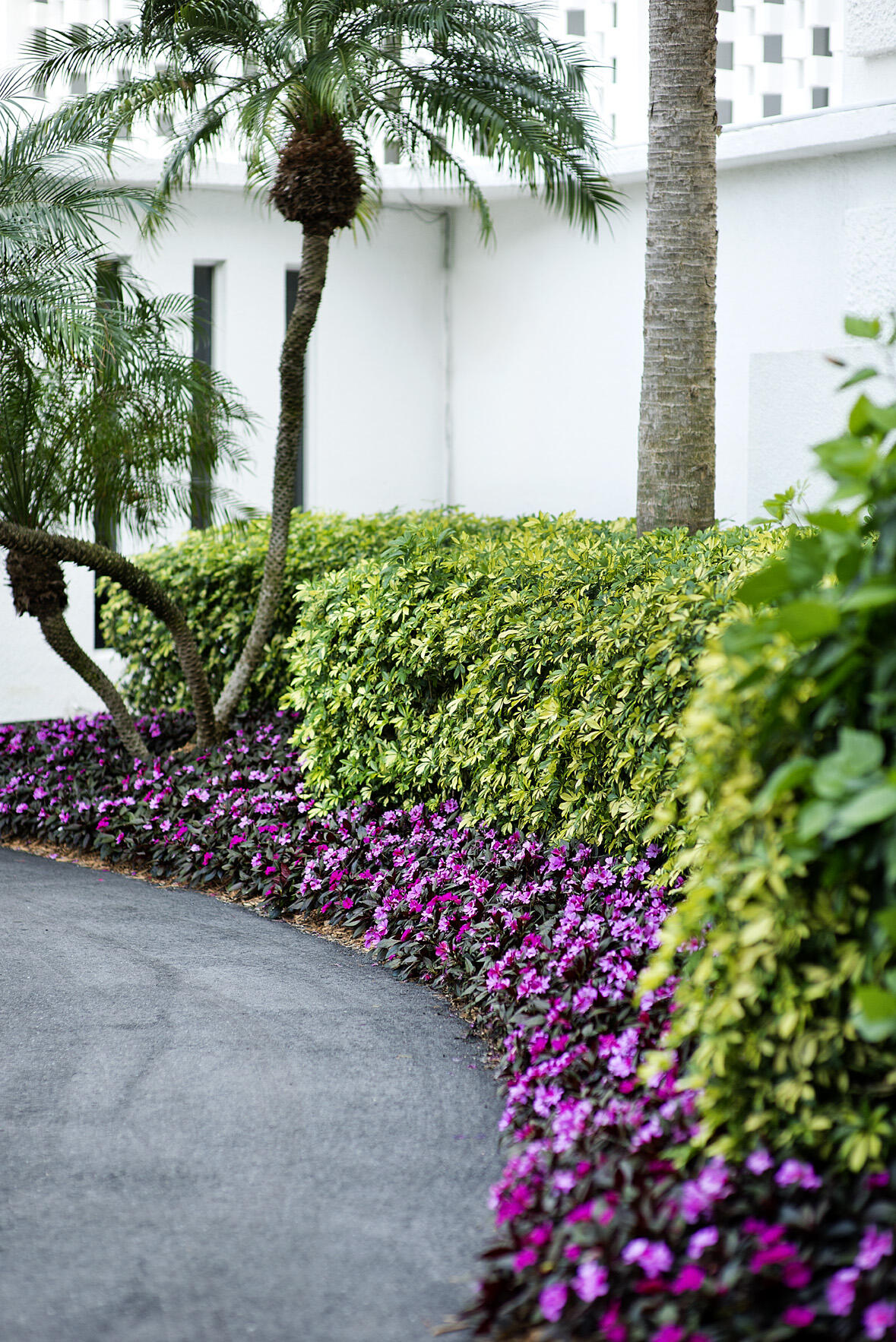 2760 South Ocean Boulevard, Unit 116 Palm Beach, FL 33480 - Photo 60 of 61 Landscaping