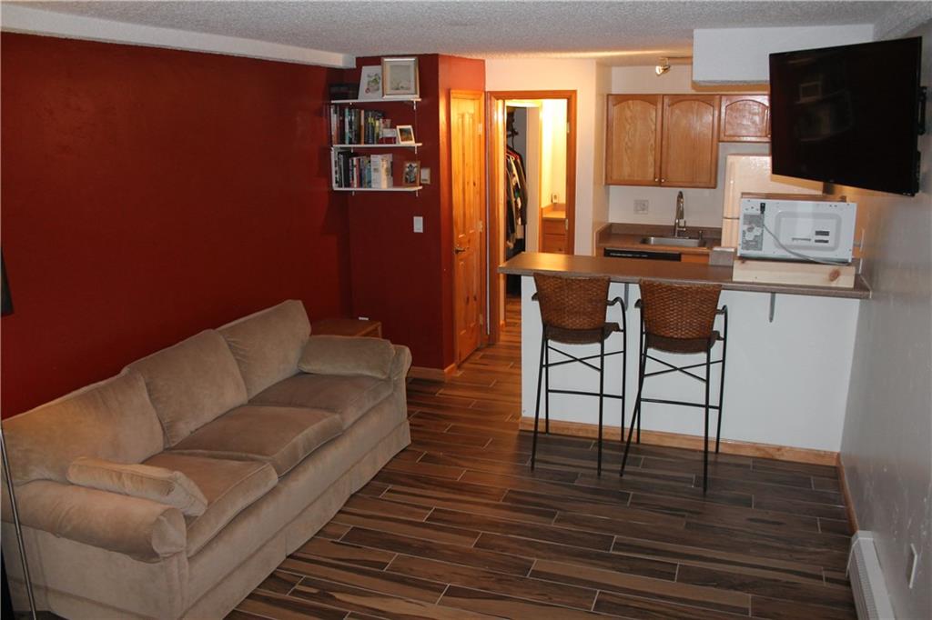 7204 Ryan Gulch Road, Unit 7204 Silverthorne, CO 80498 - Photo 4 of 17 a living room with furniture and a flat screen tv