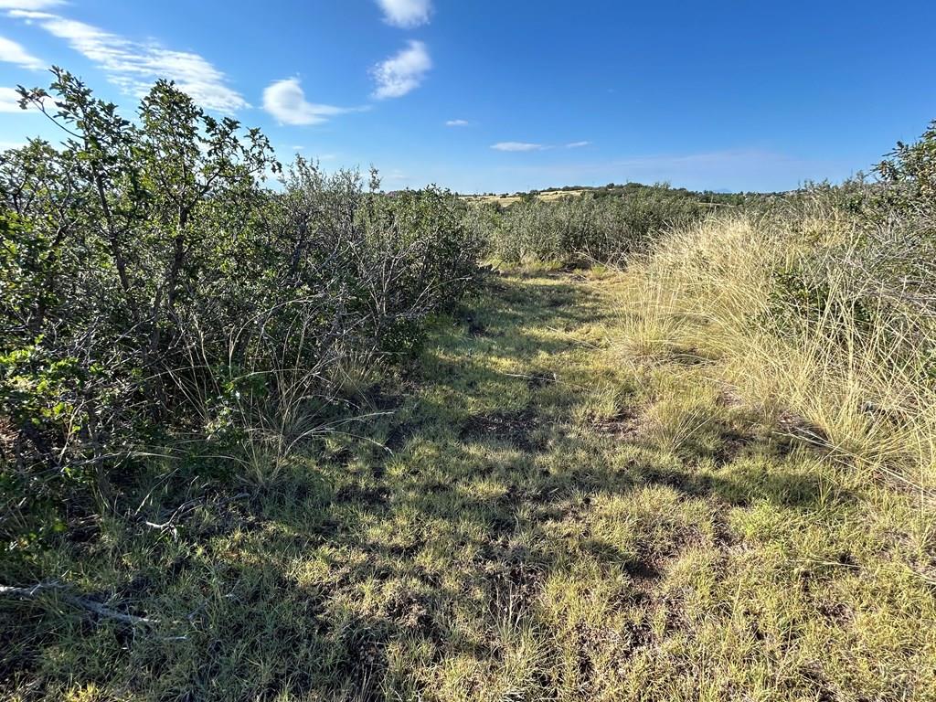 5 Lago Vista Boulevard Rye, CO 81069 - Photo 5 of 35