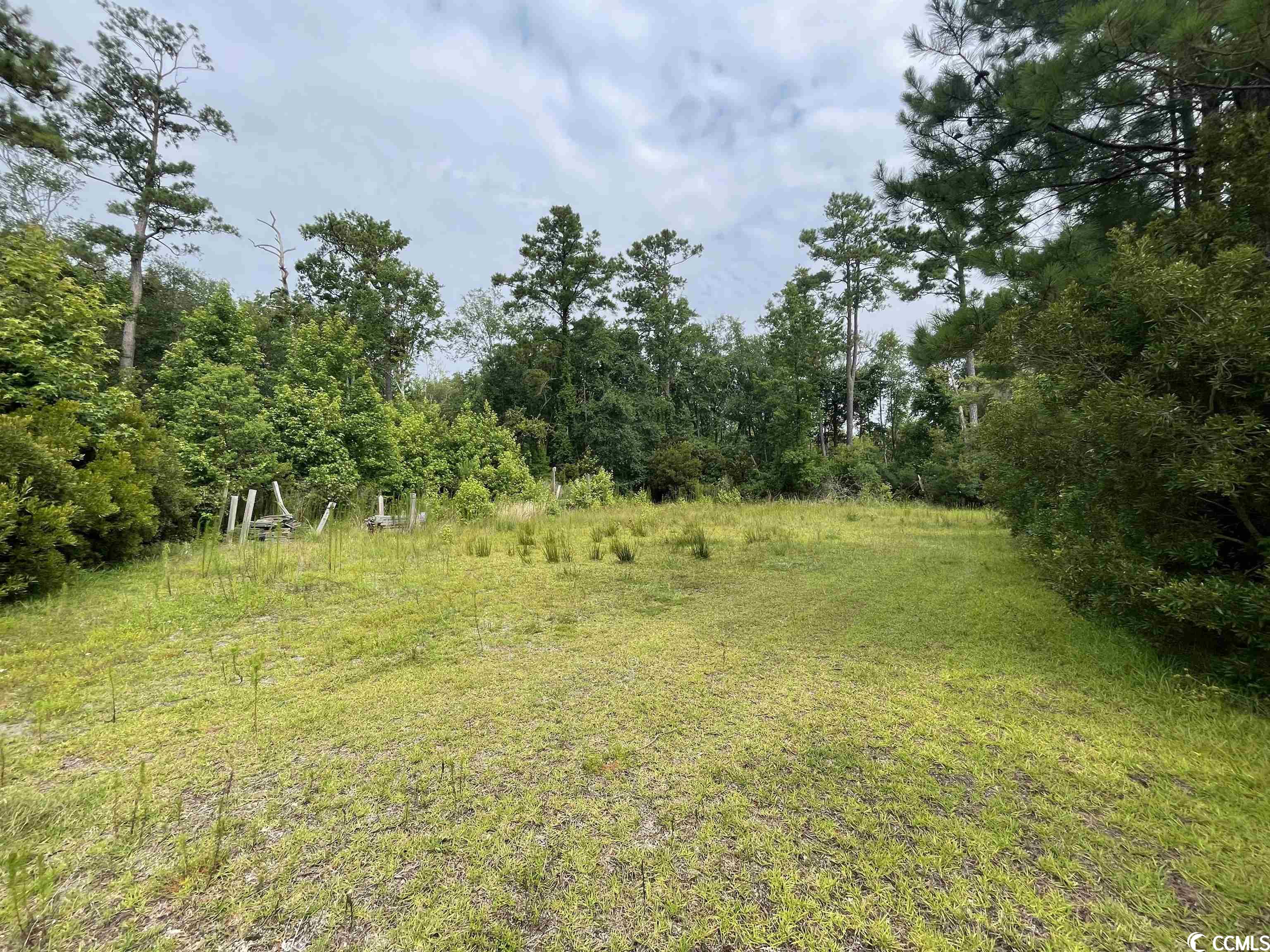 165 Chippewa Lane Georgetown, SC 29440 - Photo 15 of 22 Gallery Image 15