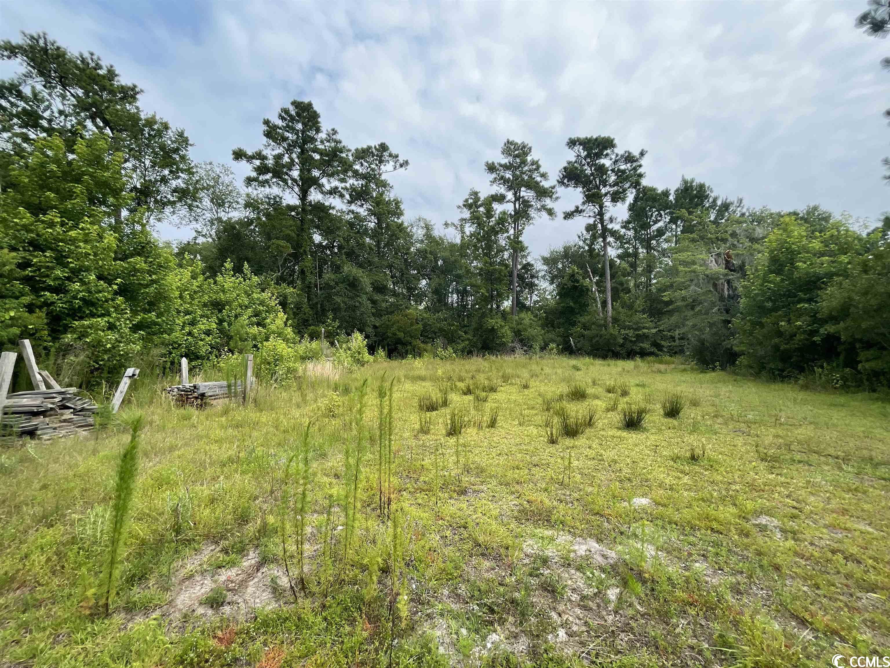 165 Chippewa Lane Georgetown, SC 29440 - Photo 16 of 22 Gallery Image 16