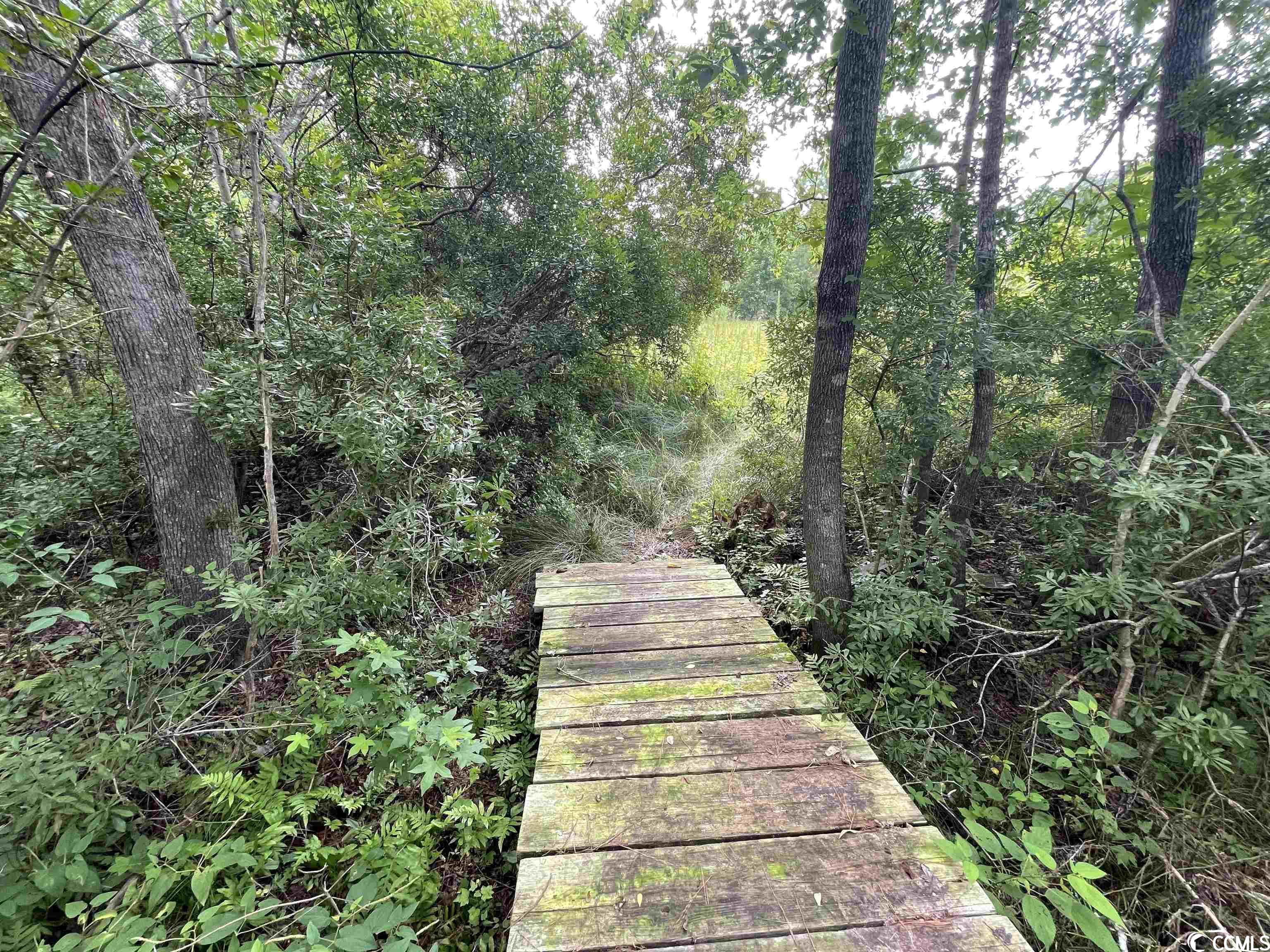 165 Chippewa Lane Georgetown, SC 29440 - Photo 22 of 22 Gallery Image 22
