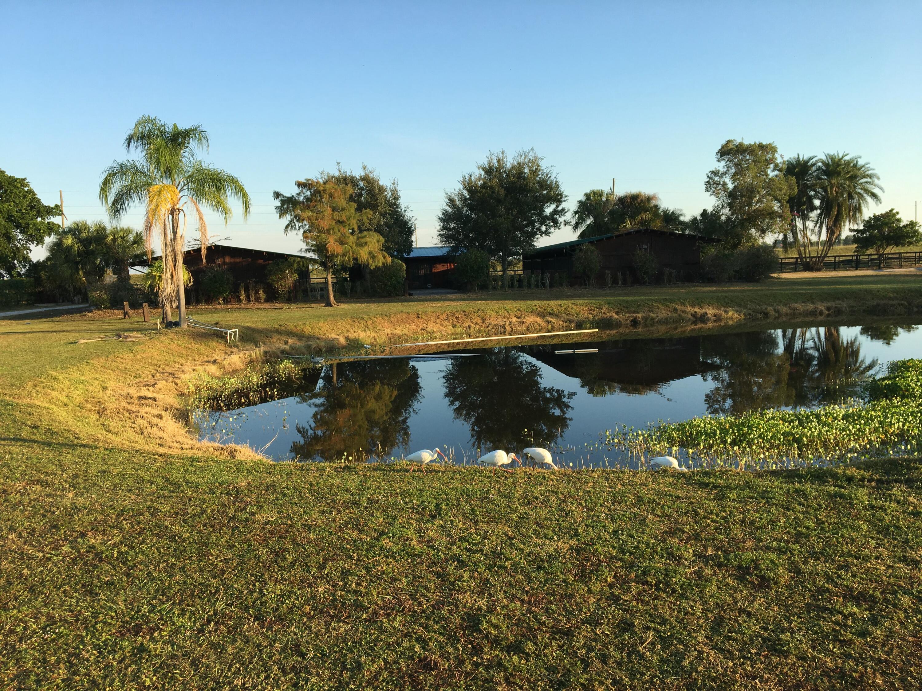 16163 16097 Rustic Road Wellington, FL 33470 - Photo 27 of 36 a view of a lake view