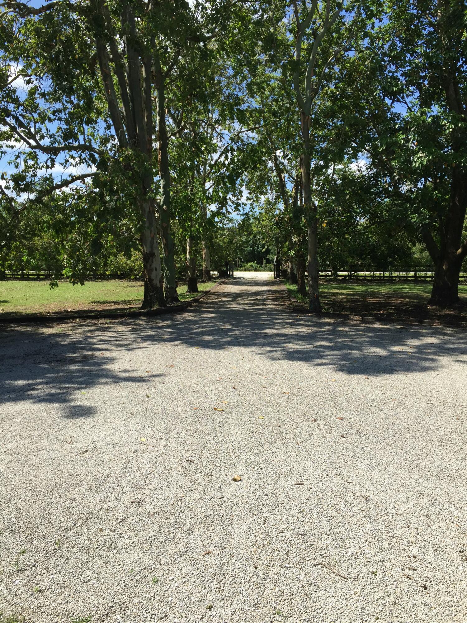 16163 16097 Rustic Road Wellington, FL 33470 - Photo 30 of 36 a view of a yard with an trees