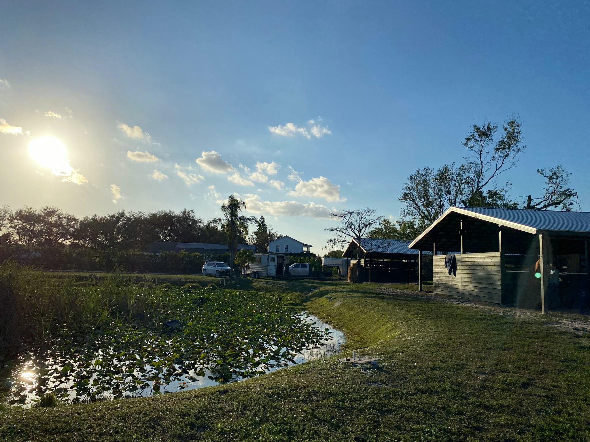 16163 16097 Rustic Road Wellington, FL 33470 - Photo 33 of 36 a view of a garden with a lake