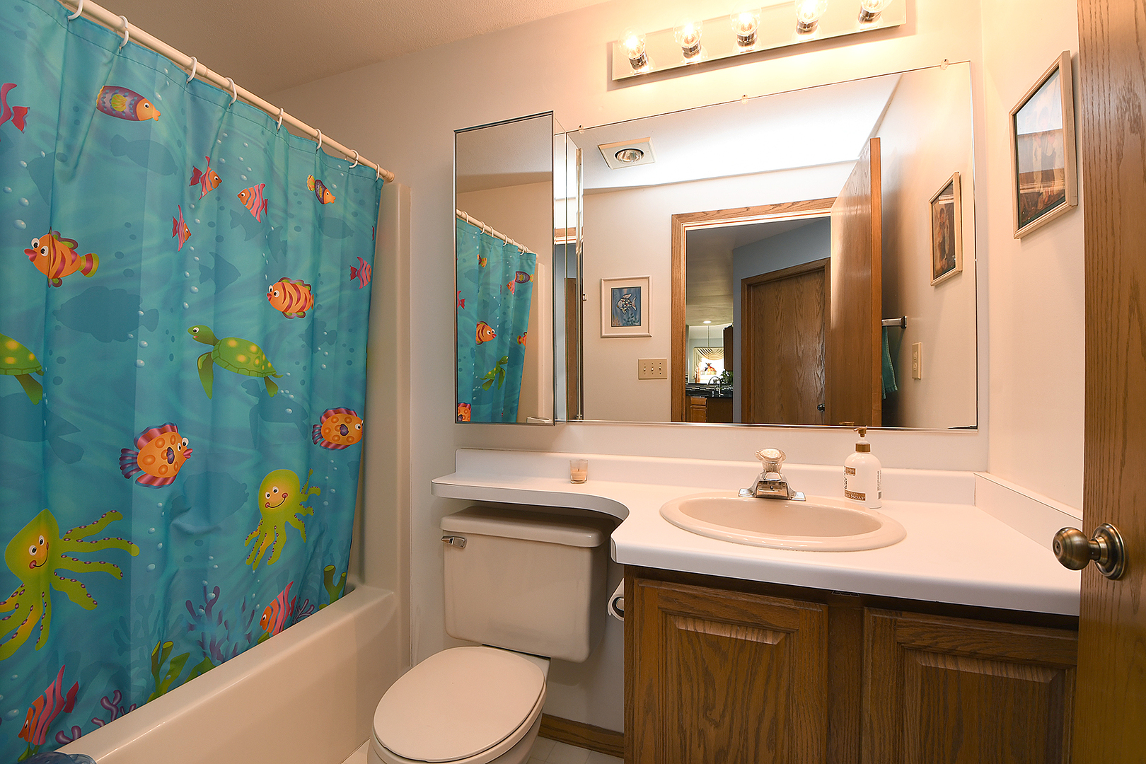 32220 South Cedar Road Manhattan, IL 60442 - Photo 19 of 46 a bathroom with a sink mirror vanity and toilet