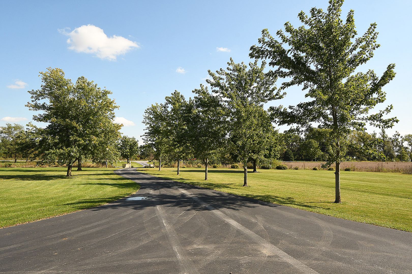 32220 South Cedar Road Manhattan, IL 60442 - Photo 45 of 46 a view of a park with large trees