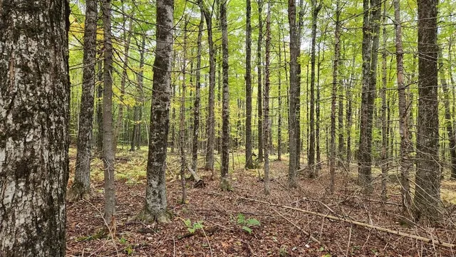 $369,000 | 4 Cousineaus Tory Hill Heights, Phillips, ME 04966