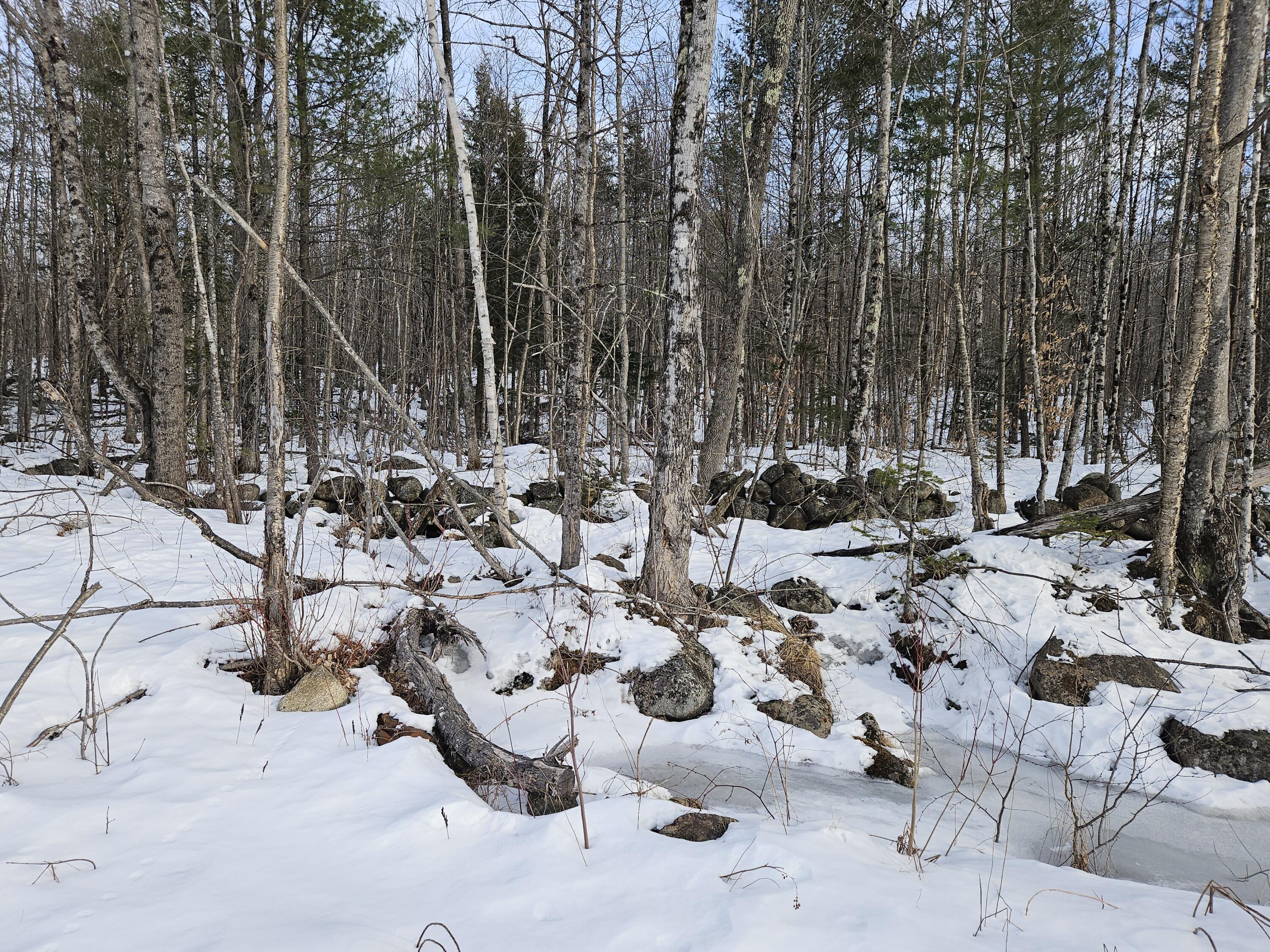 Lot #135 Pratt Road Wilton, ME 04294 - Photo 7 of 22 20250127_145014