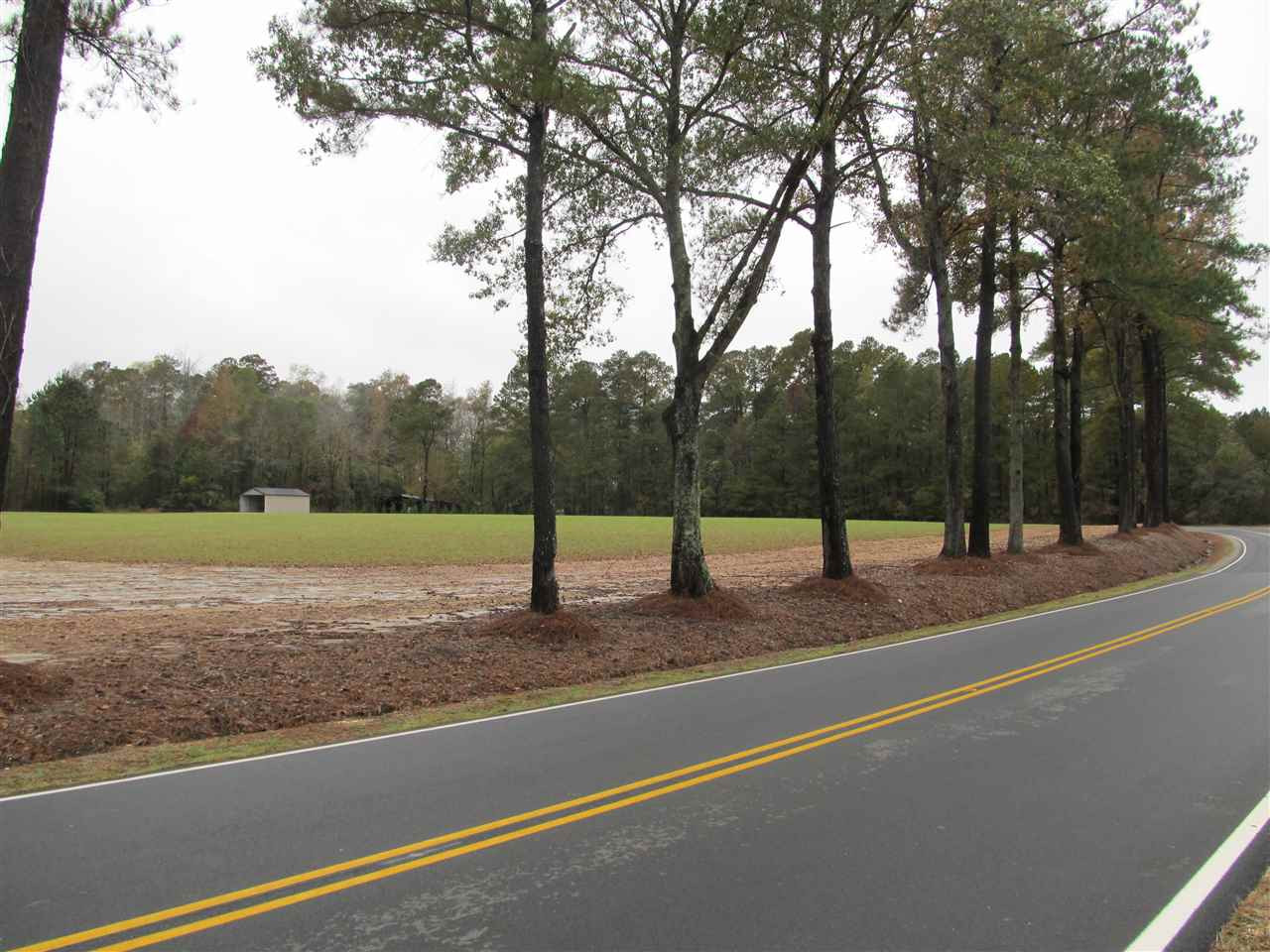 Sheriff Johnson Road Lillington, NC 27546 - Photo 3 of 18 Photo 3