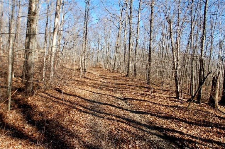 2040 Mandy Road Irvine, KY 40336 - Photo 27 of 39 Trails everywhere!