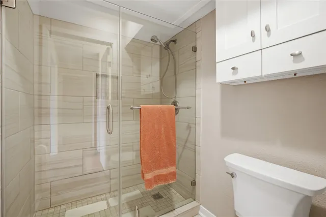a bathroom with a shower and toilet