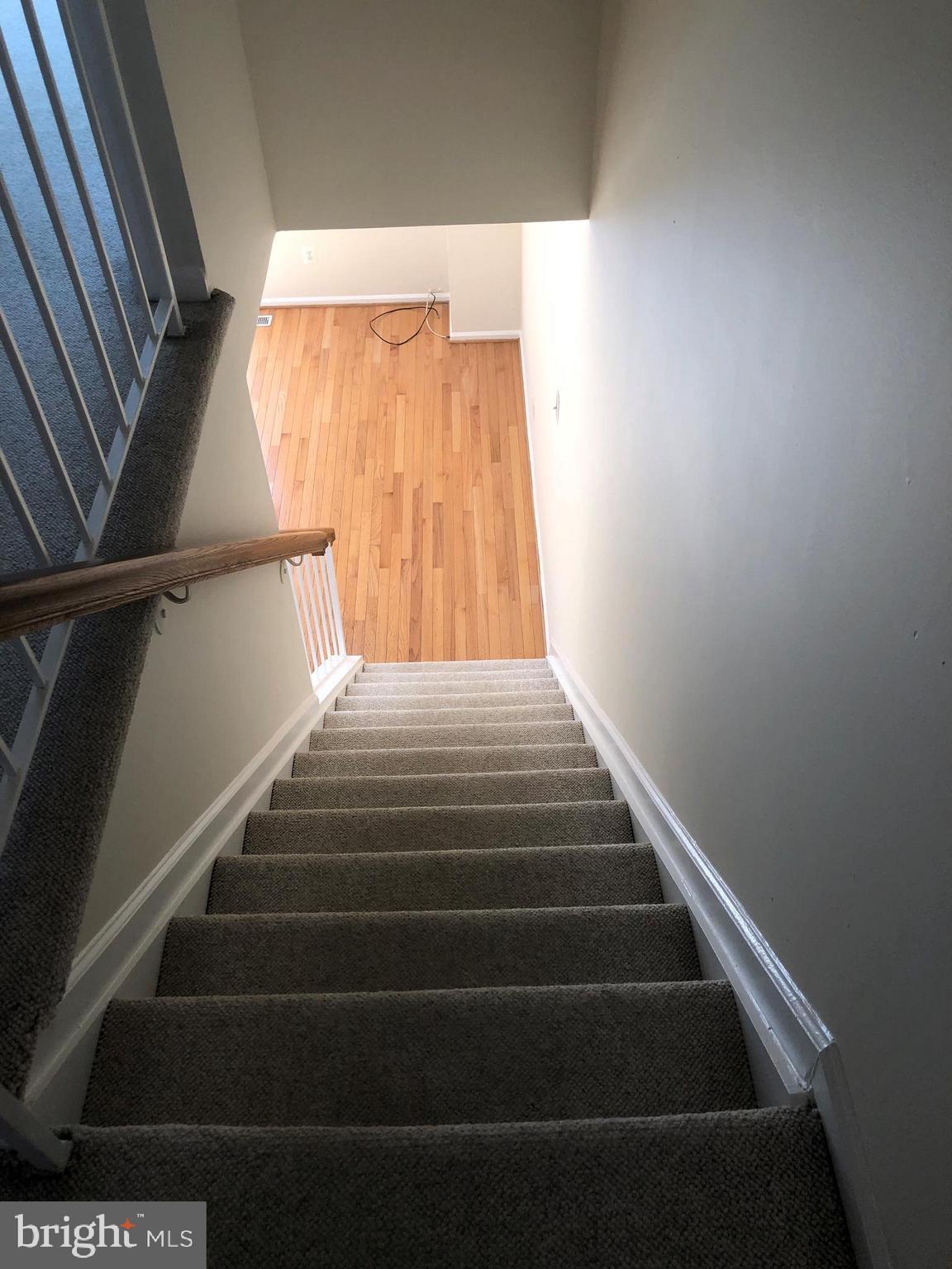 8568 Springfield Oaks Drive Springfield, VA 22153 - Photo 30 of 38 Carpeted Stairs to Lower Level