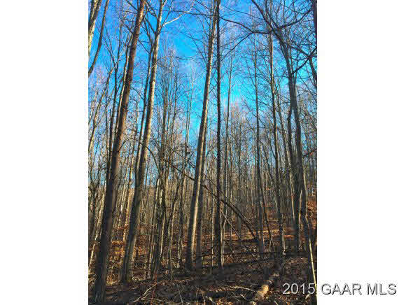 0 Smokey Row Road Lexington, VA 24450 - Photo 23 of 36 Gallery Image 23