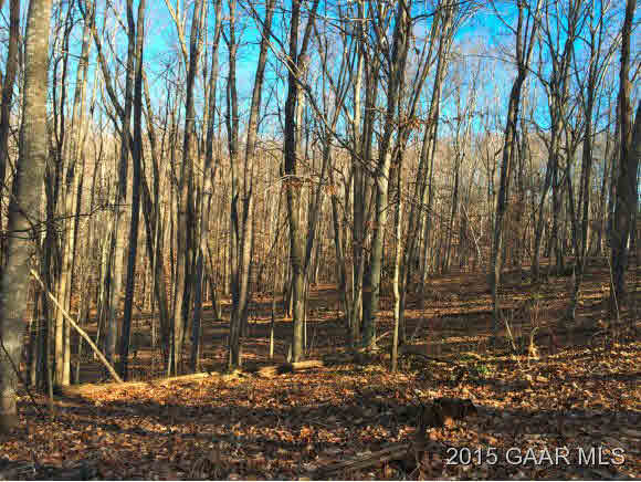 0 Smokey Row Road Lexington, VA 24450 - Photo 25 of 36 Gallery Image 25