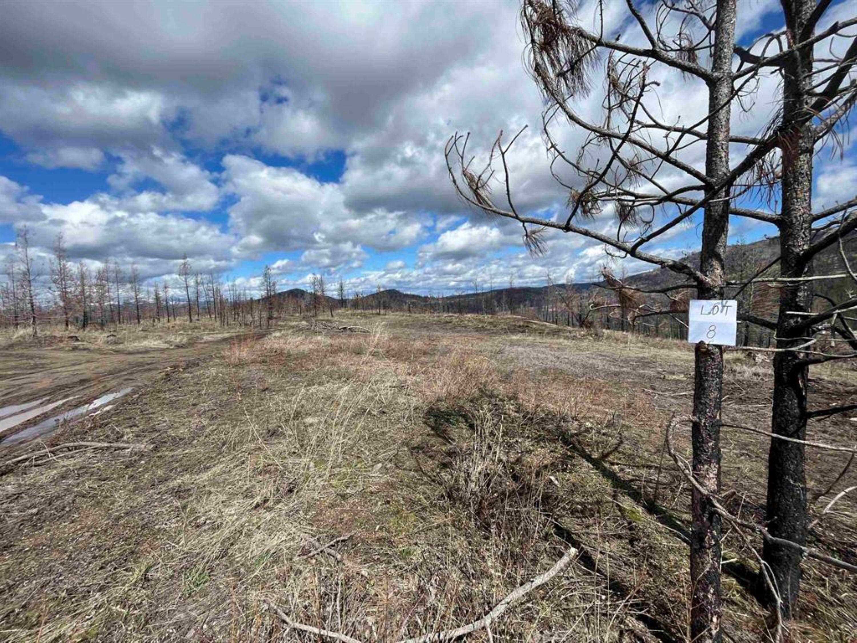 Lot 8 Rail Canyon Road Tumtum, WA 99034 - Photo 2 of 13