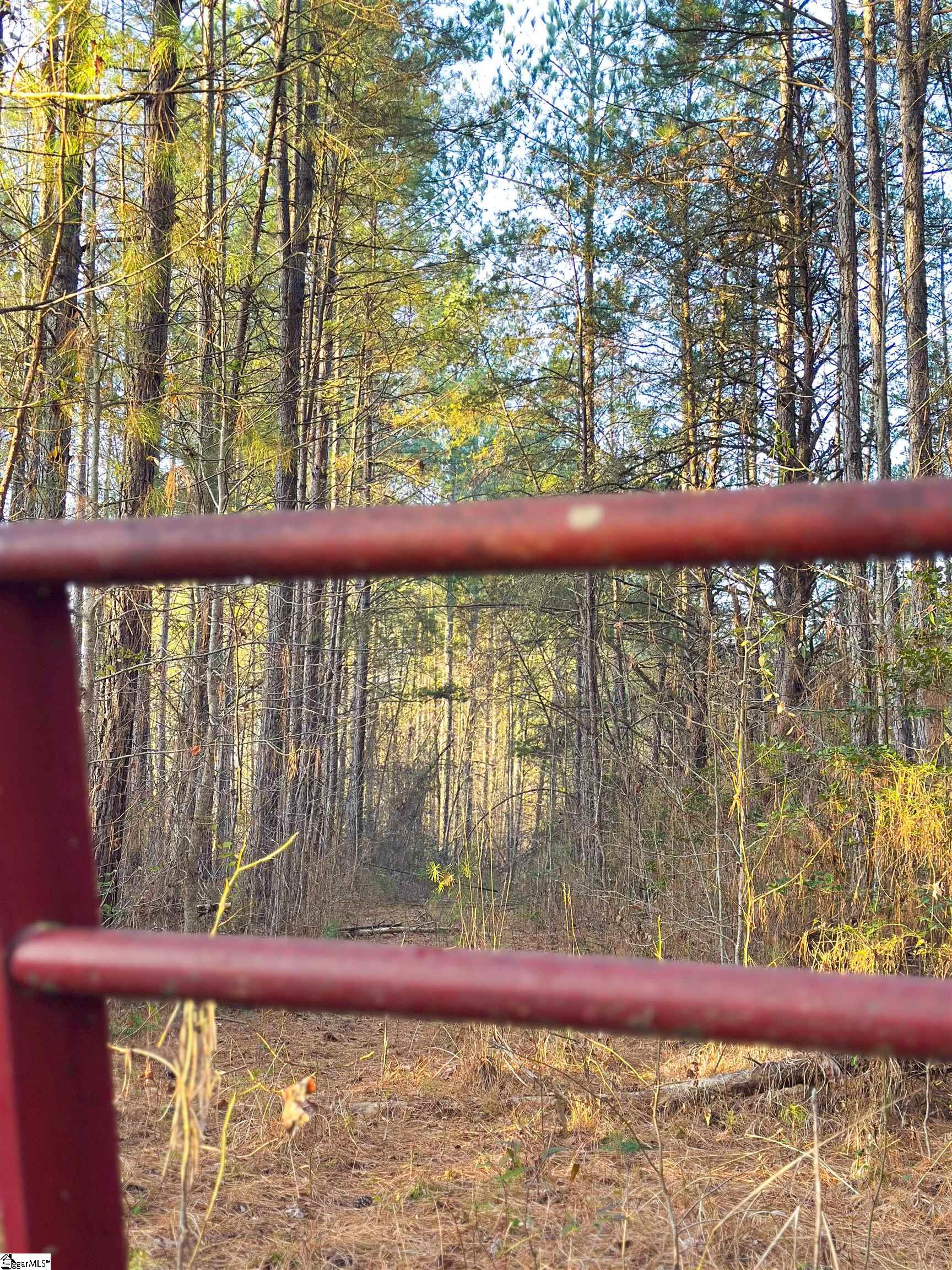 535 North Little River Road Salem, SC 29676 - Photo 13 of 24