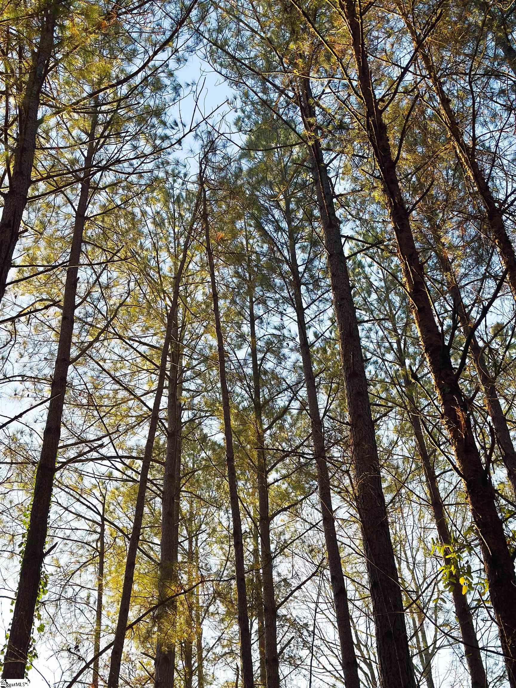 535 North Little River Road Salem, SC 29676 - Photo 15 of 24