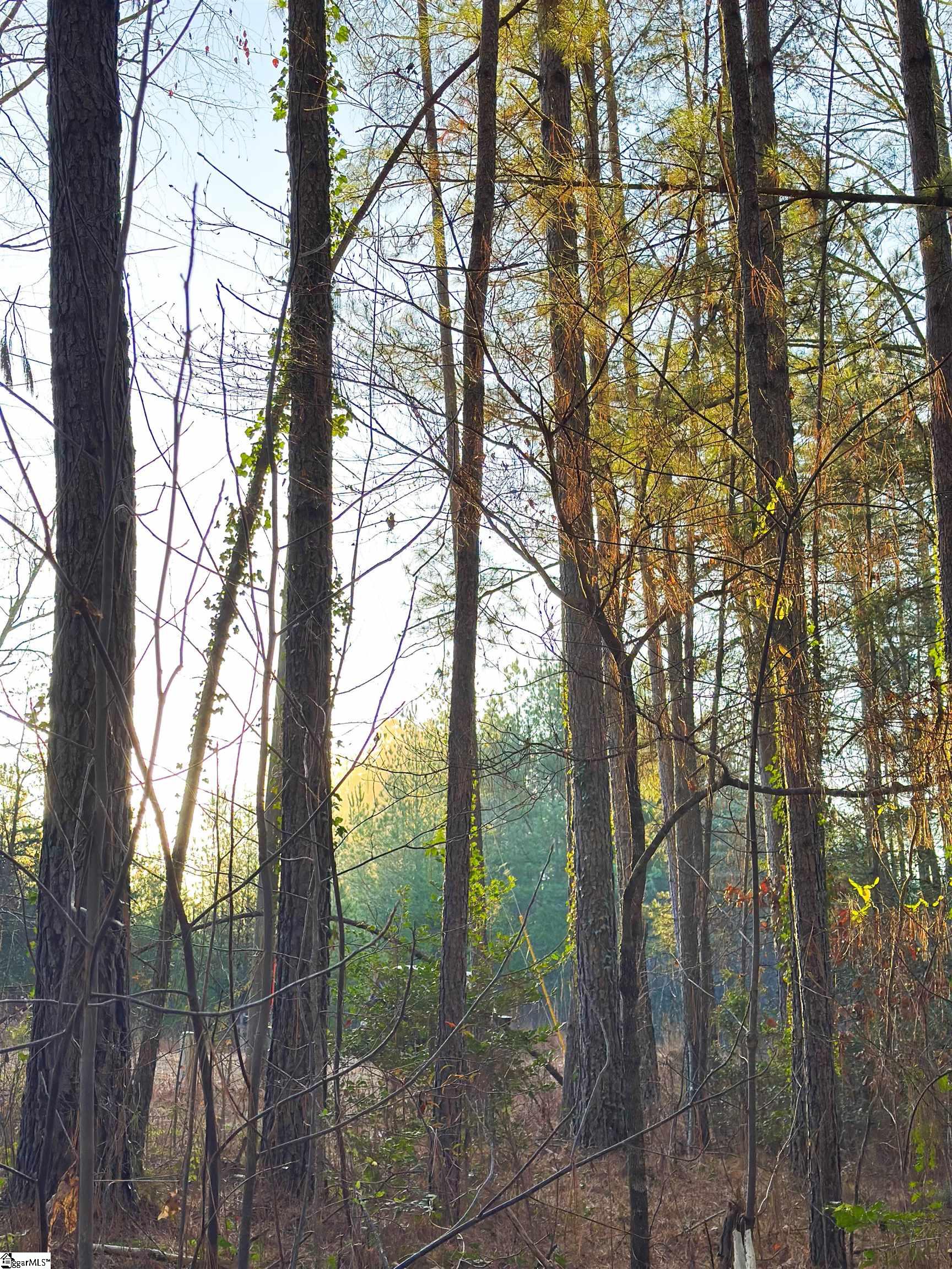 535 North Little River Road Salem, SC 29676 - Photo 5 of 24