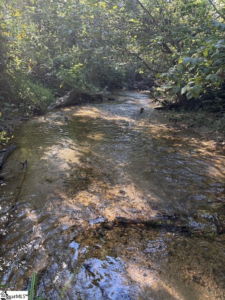 535 North Little River Road Salem, SC 29676 - Photo 7 of 24