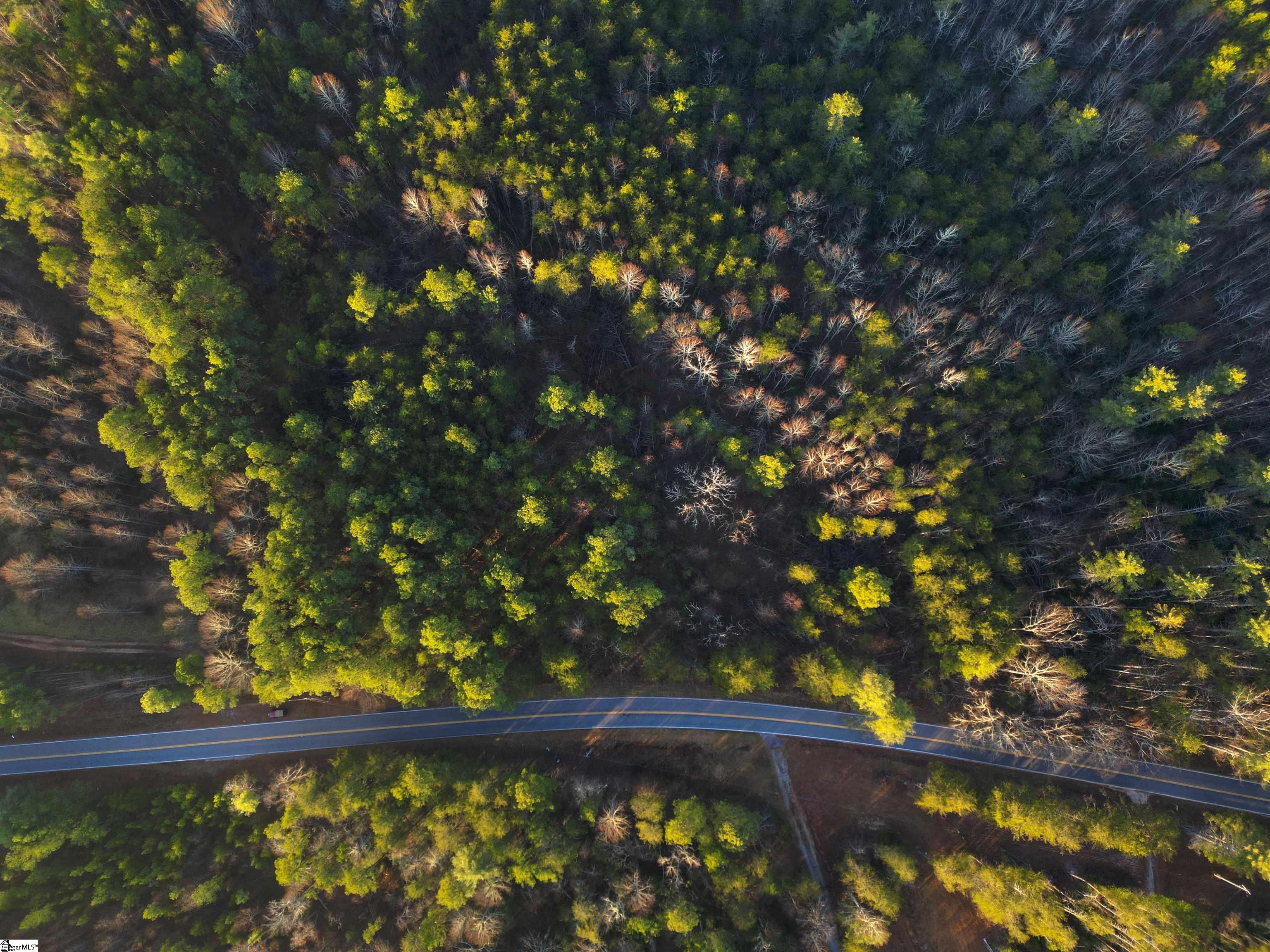 535 North Little River Road Salem, SC 29676 - Photo 9 of 24