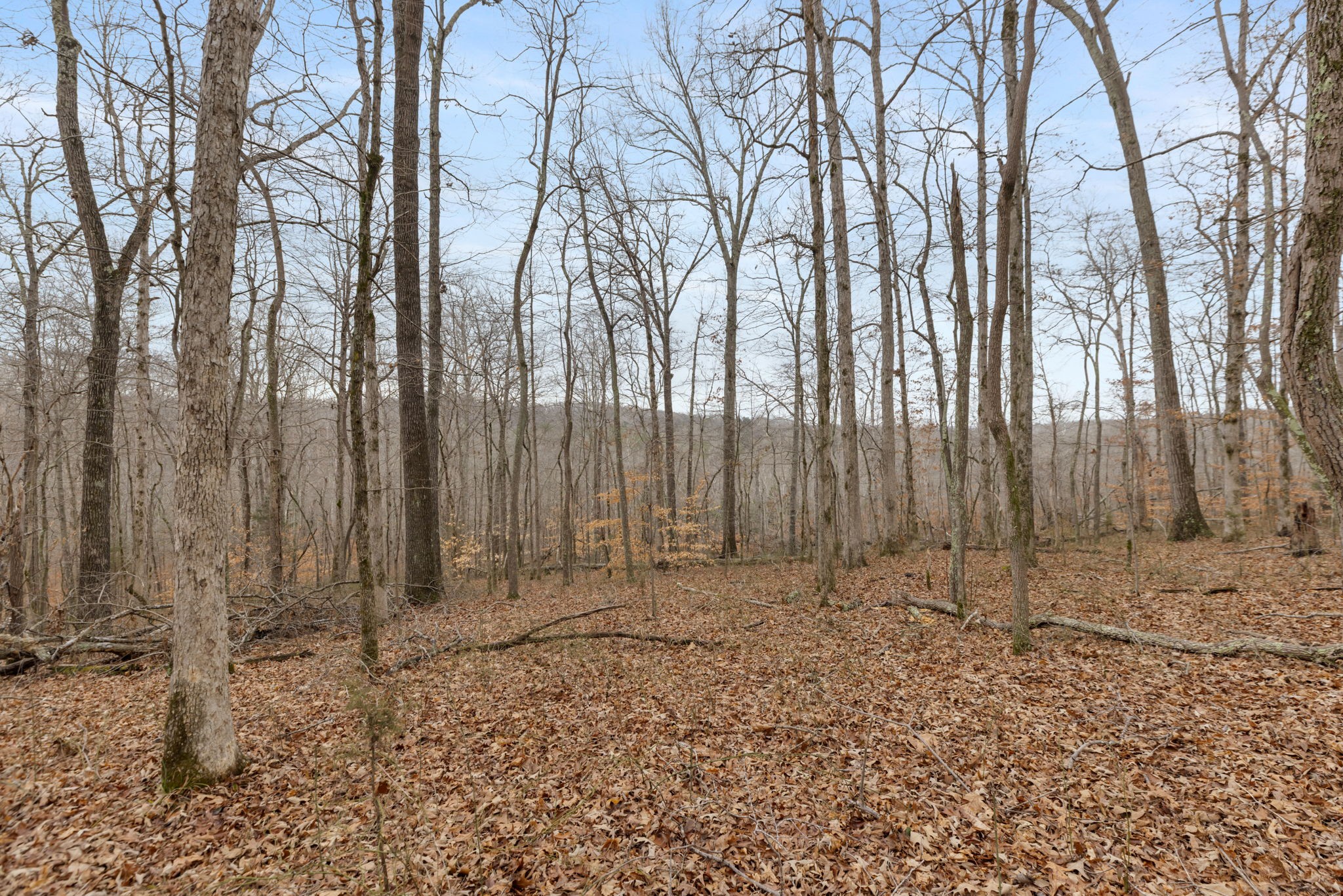 0 Griffintown Road White Bluff, TN 37187 - Photo 12 of 25