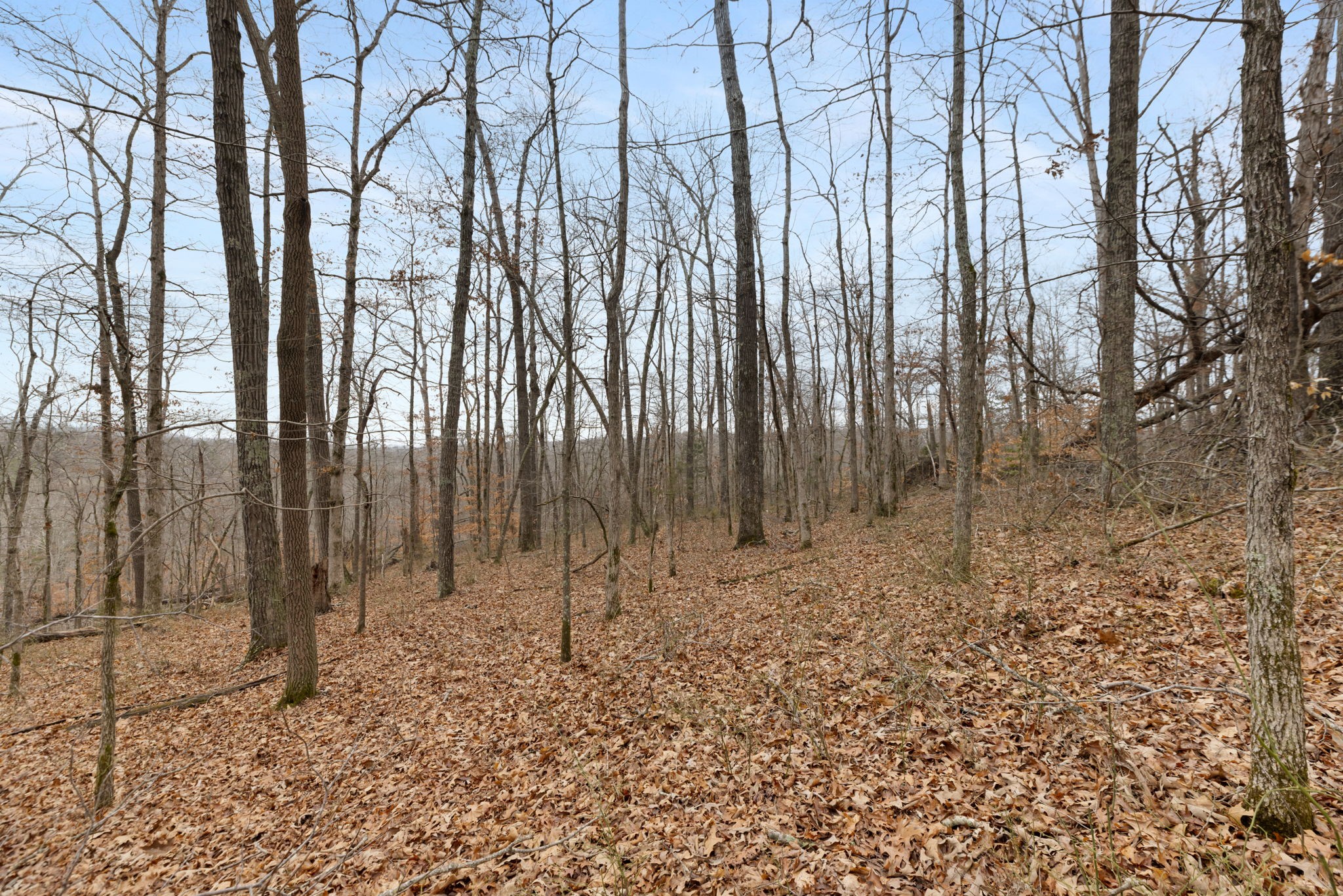 0 Griffintown Road White Bluff, TN 37187 - Photo 13 of 25