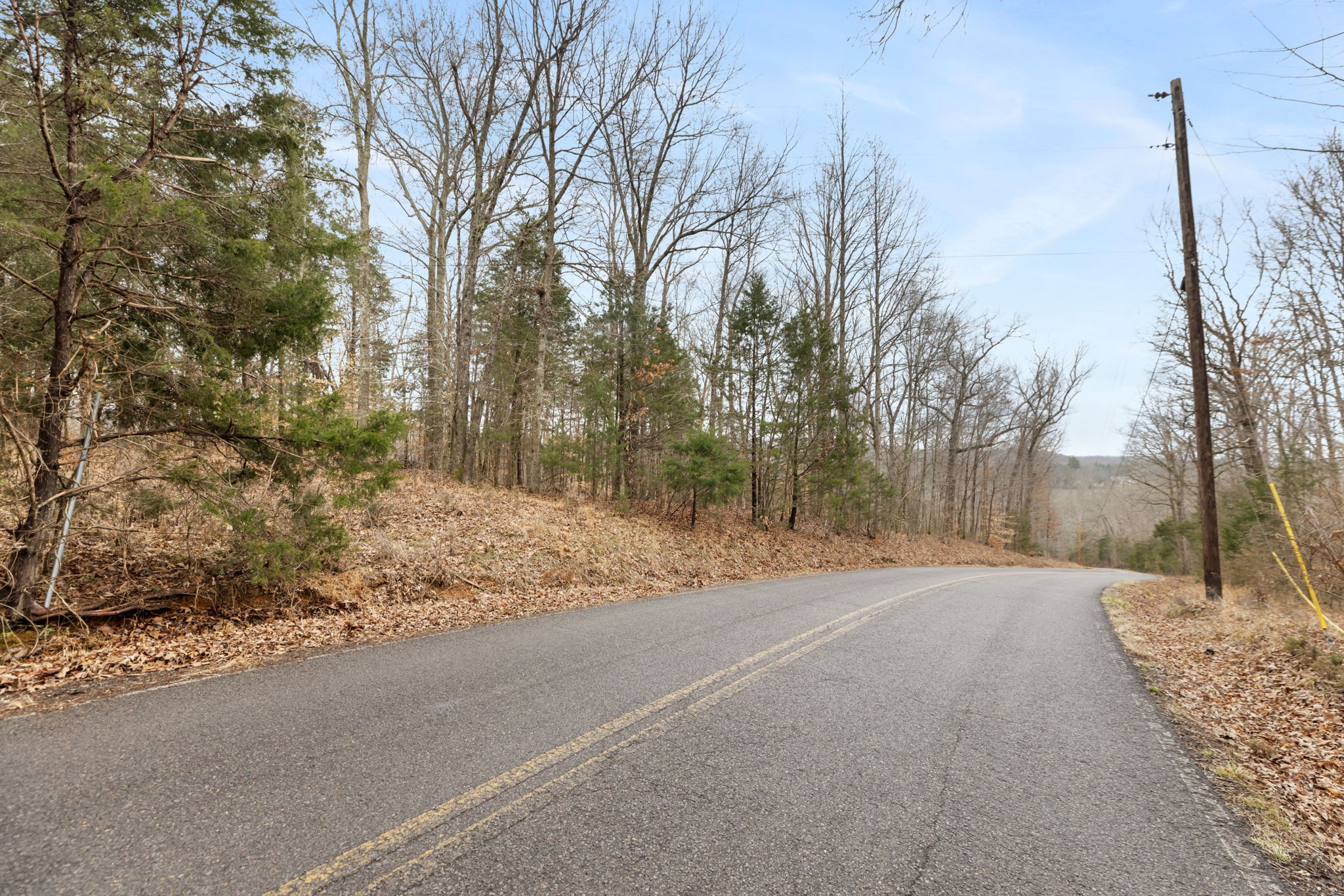 0 Griffintown Road White Bluff, TN 37187 - Photo 14 of 25