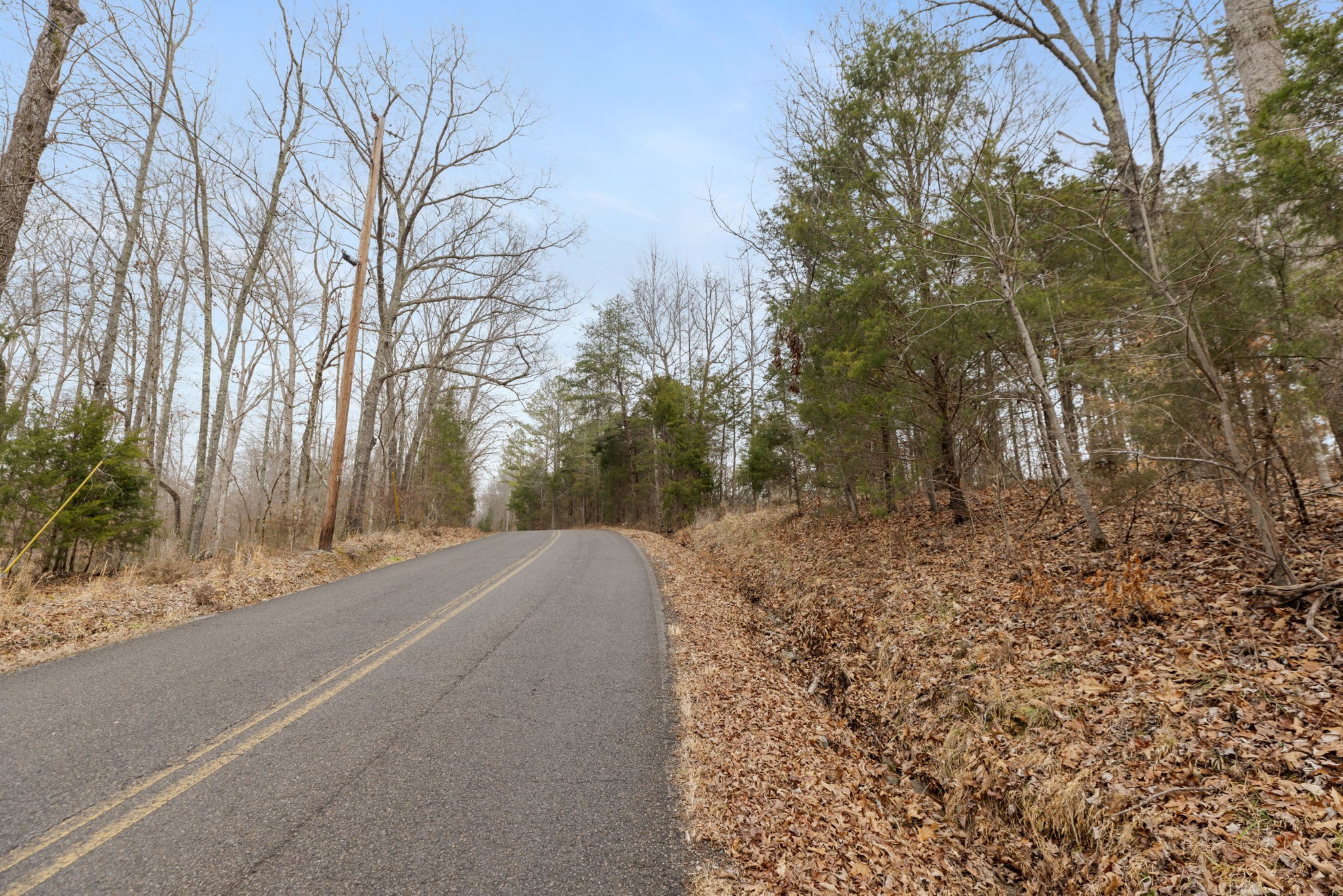 0 Griffintown Road White Bluff, TN 37187 - Photo 15 of 25