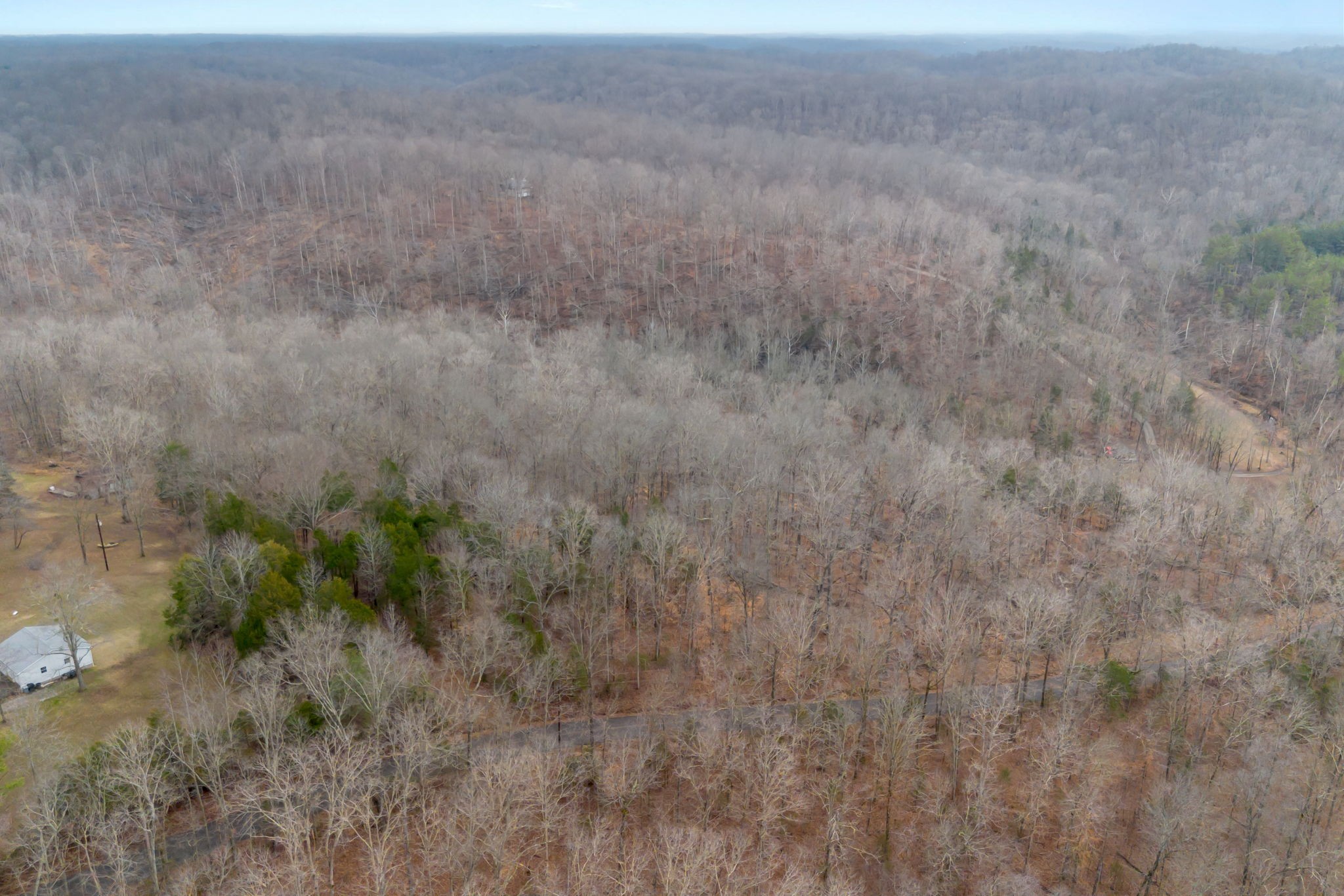 0 Griffintown Road White Bluff, TN 37187 - Photo 18 of 25