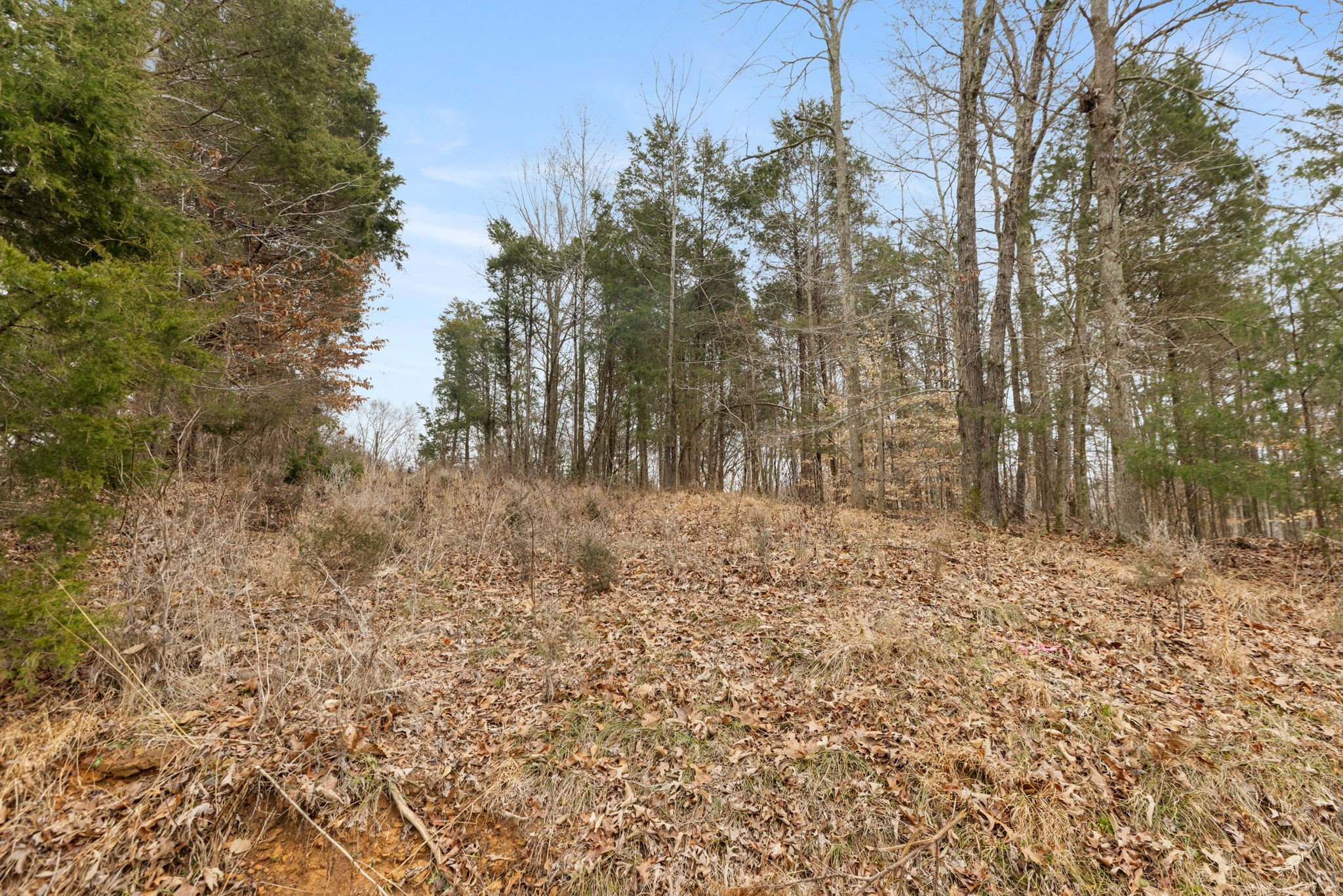 0 Griffintown Road White Bluff, TN 37187 - Photo 2 of 25