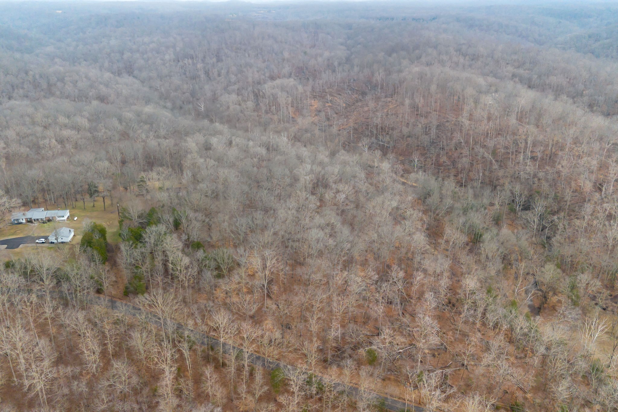 0 Griffintown Road White Bluff, TN 37187 - Photo 25 of 25