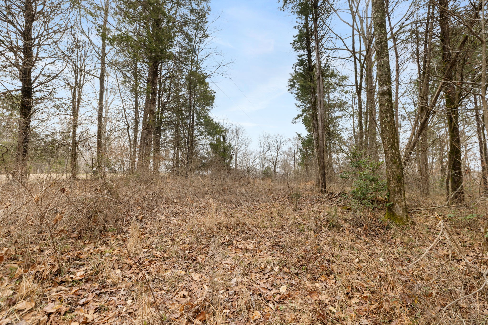 0 Griffintown Road White Bluff, TN 37187 - Photo 3 of 25