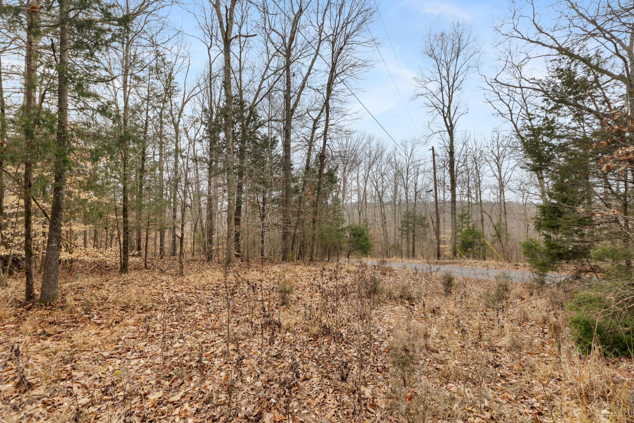 0 Griffintown Road White Bluff, TN 37187 - Photo 4 of 25