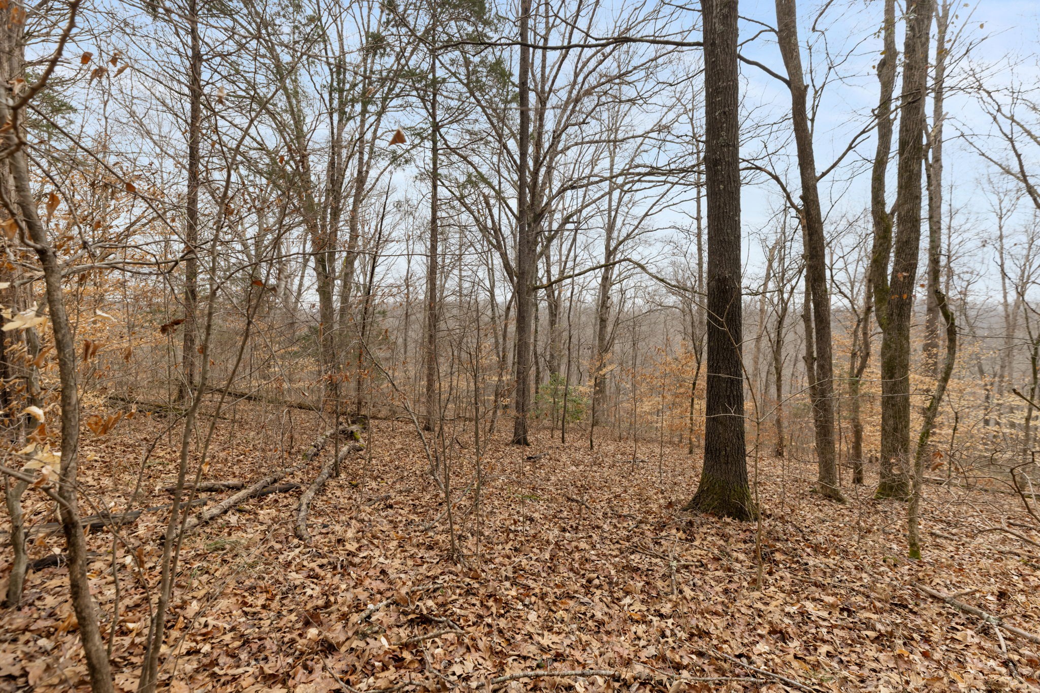 0 Griffintown Road White Bluff, TN 37187 - Photo 5 of 25