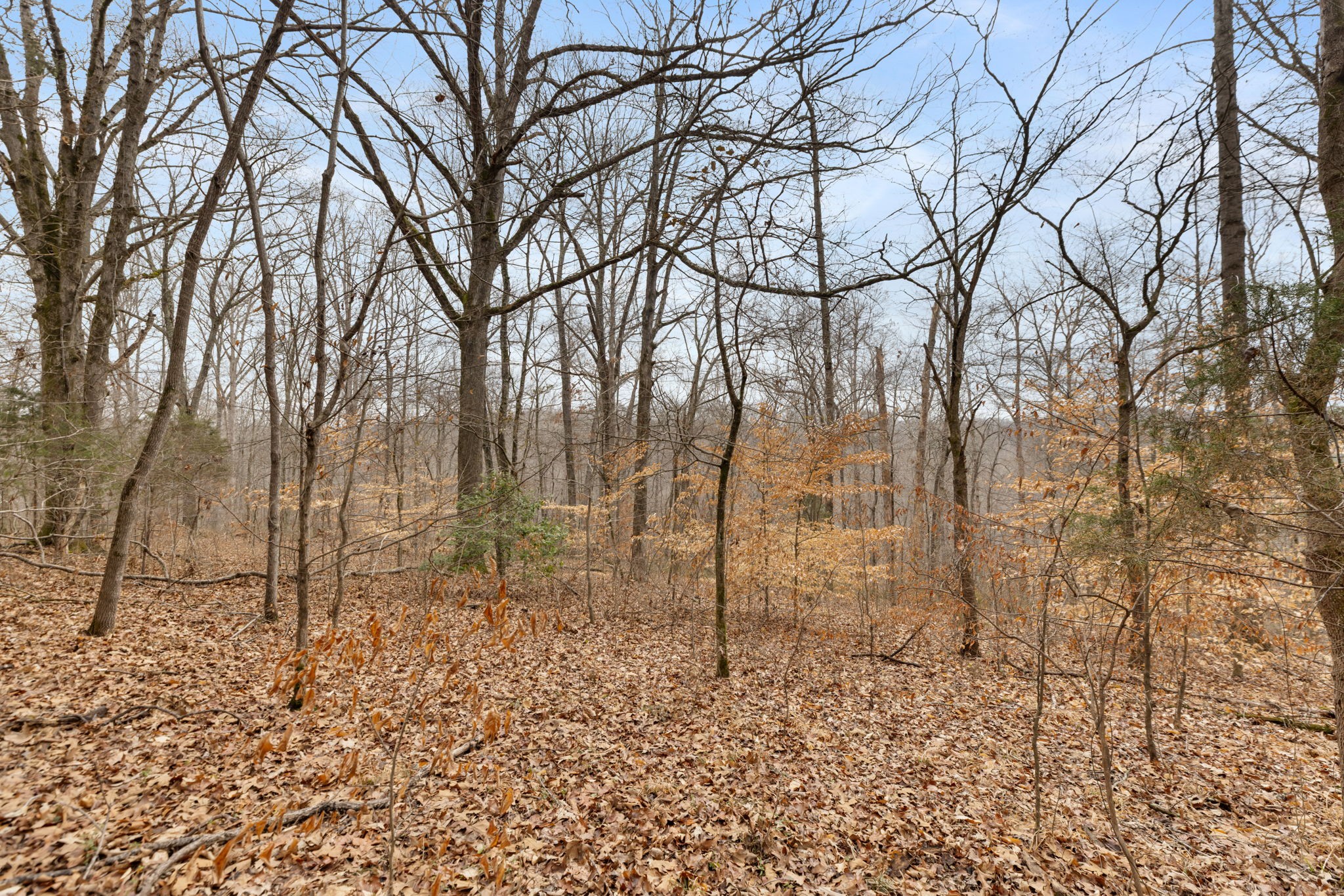 0 Griffintown Road White Bluff, TN 37187 - Photo 7 of 25