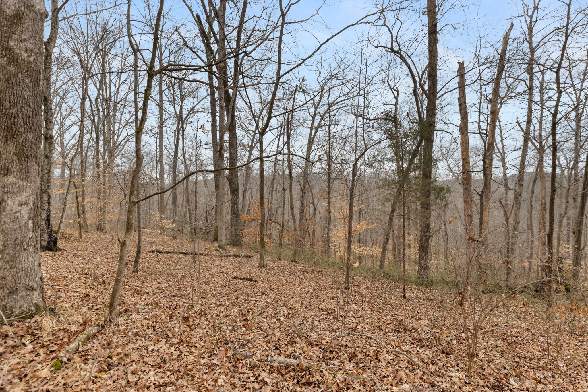 0 Griffintown Road White Bluff, TN 37187 - Photo 8 of 25