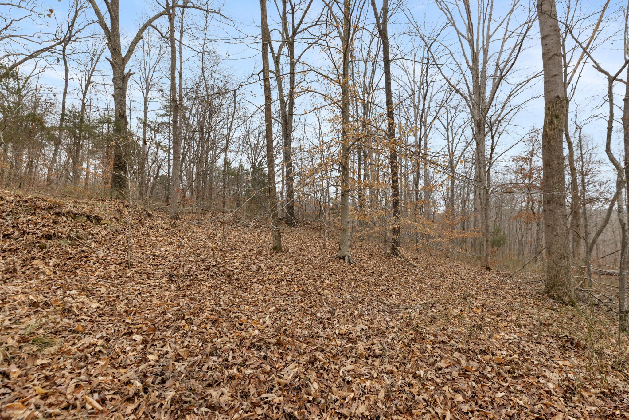 0 Griffintown Road White Bluff, TN 37187 - Photo 9 of 25