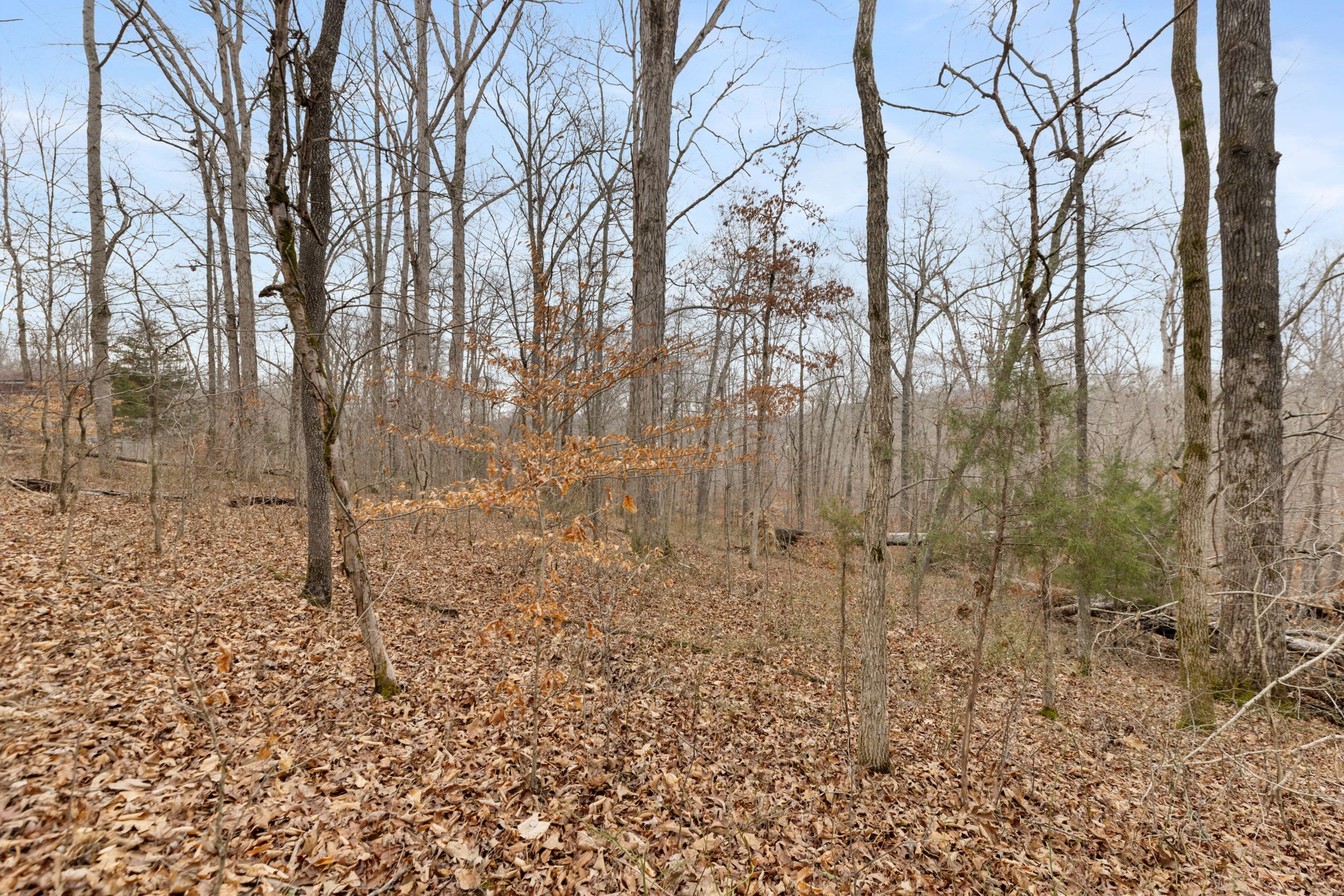 0 Griffintown Road White Bluff, TN 37187 - Photo 10 of 25