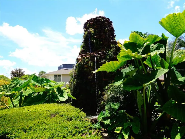 a plant that is in a garden