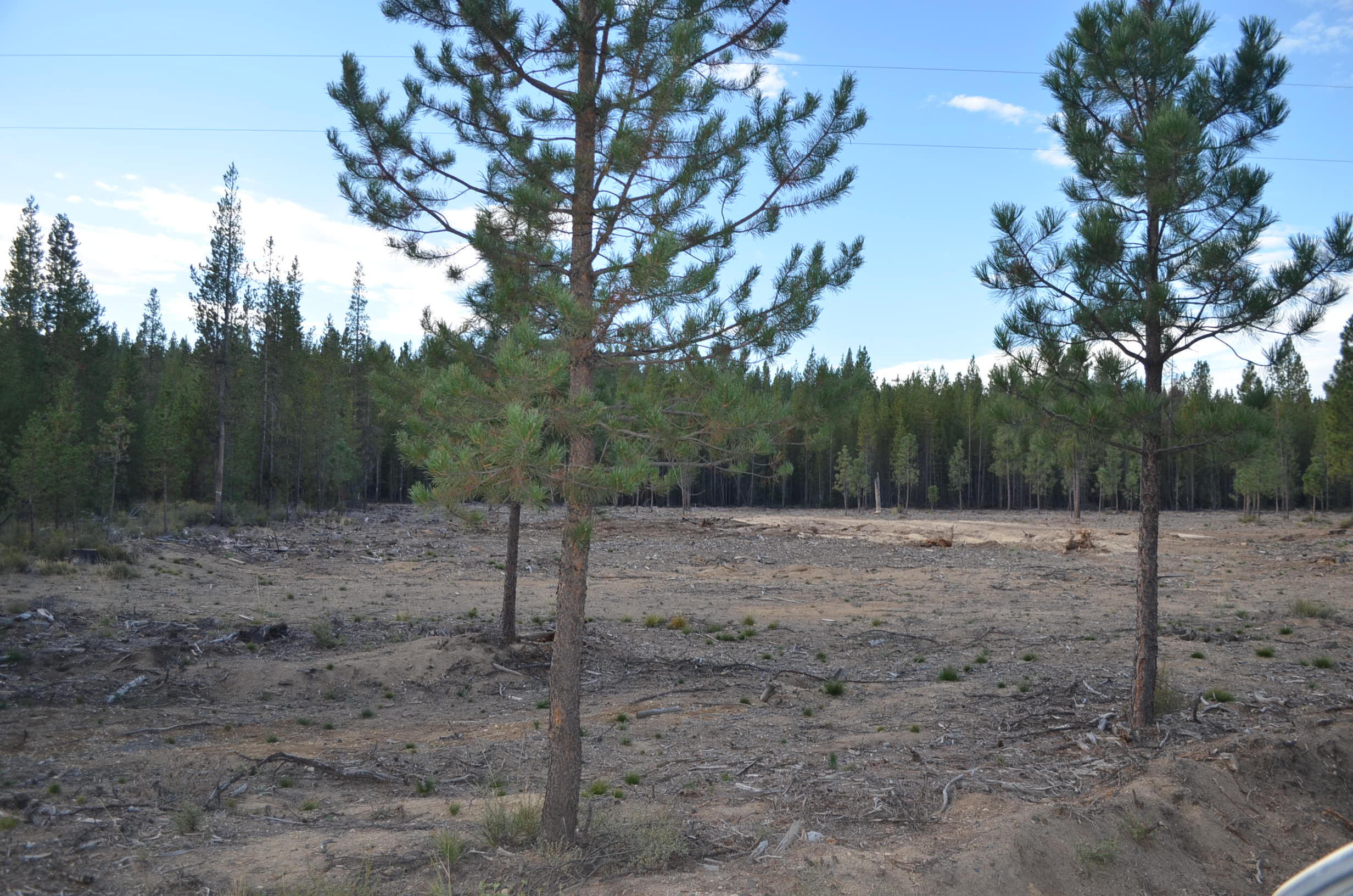 132860 Highway 97 Crescent, OR 97733 - Photo 24 of 25 a view of a yard with a tree