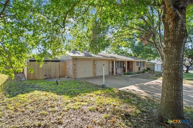 a view of a yard with a large tree and a large window