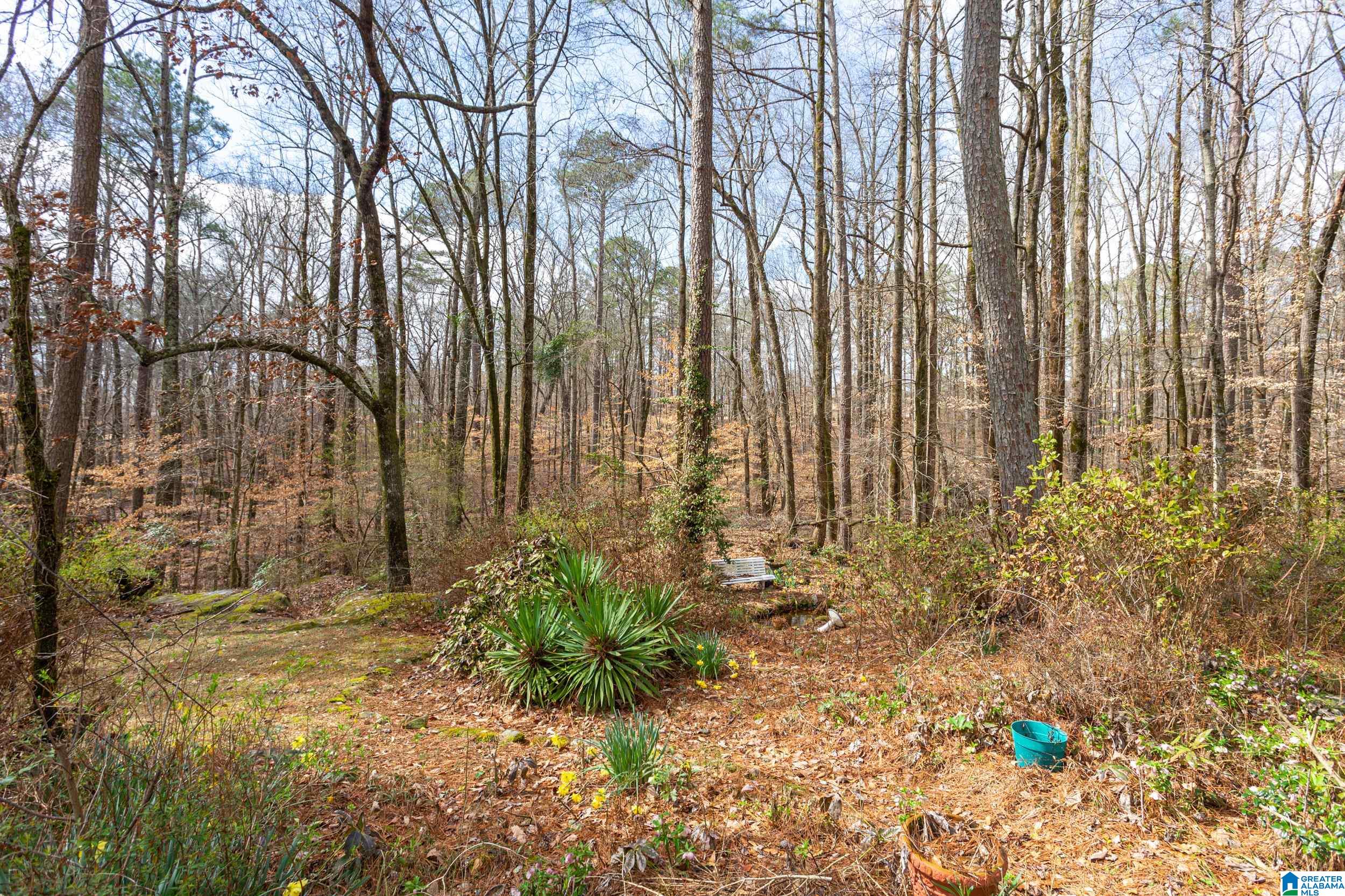 6500 Moss Rock Ridge Trussville, AL 35173 - Photo 31 of 37
