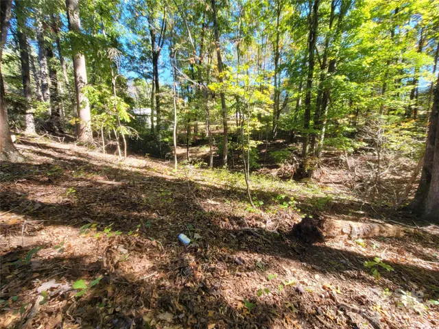 a view of a city with lush green forest