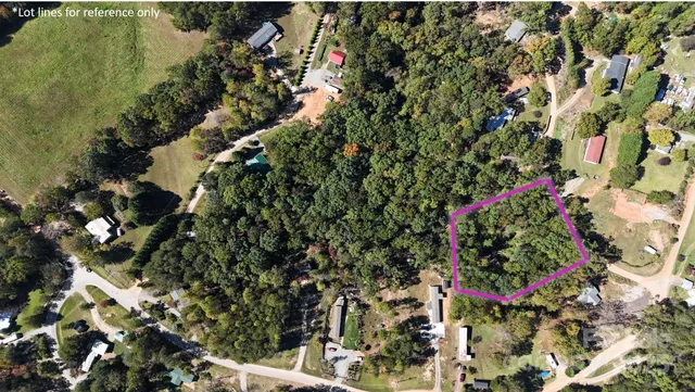 a view of a town with mountains in the background