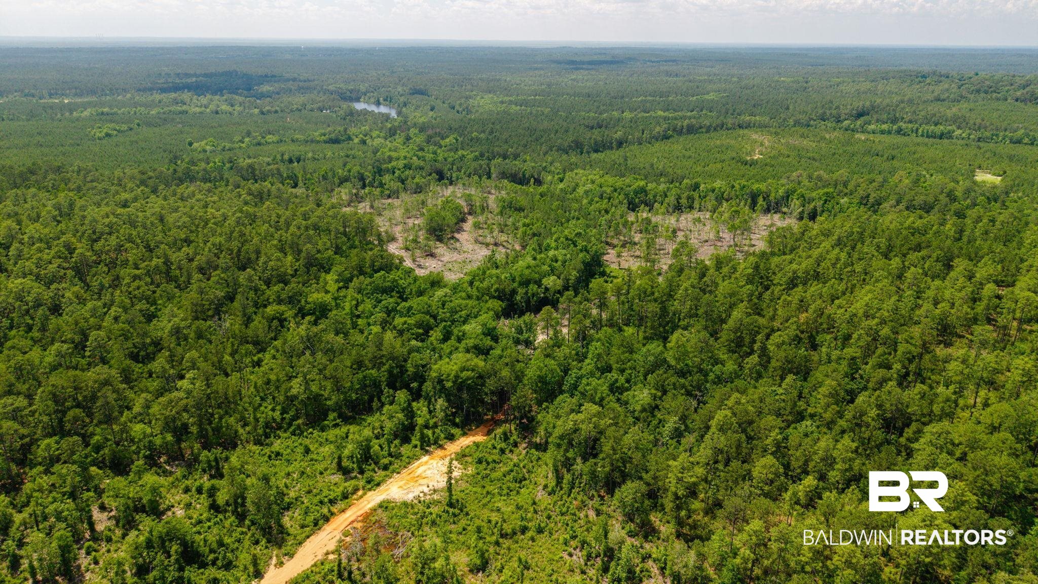 0 Joe Hall Road Bay Minette, AL 36507 - Photo 6 of 13