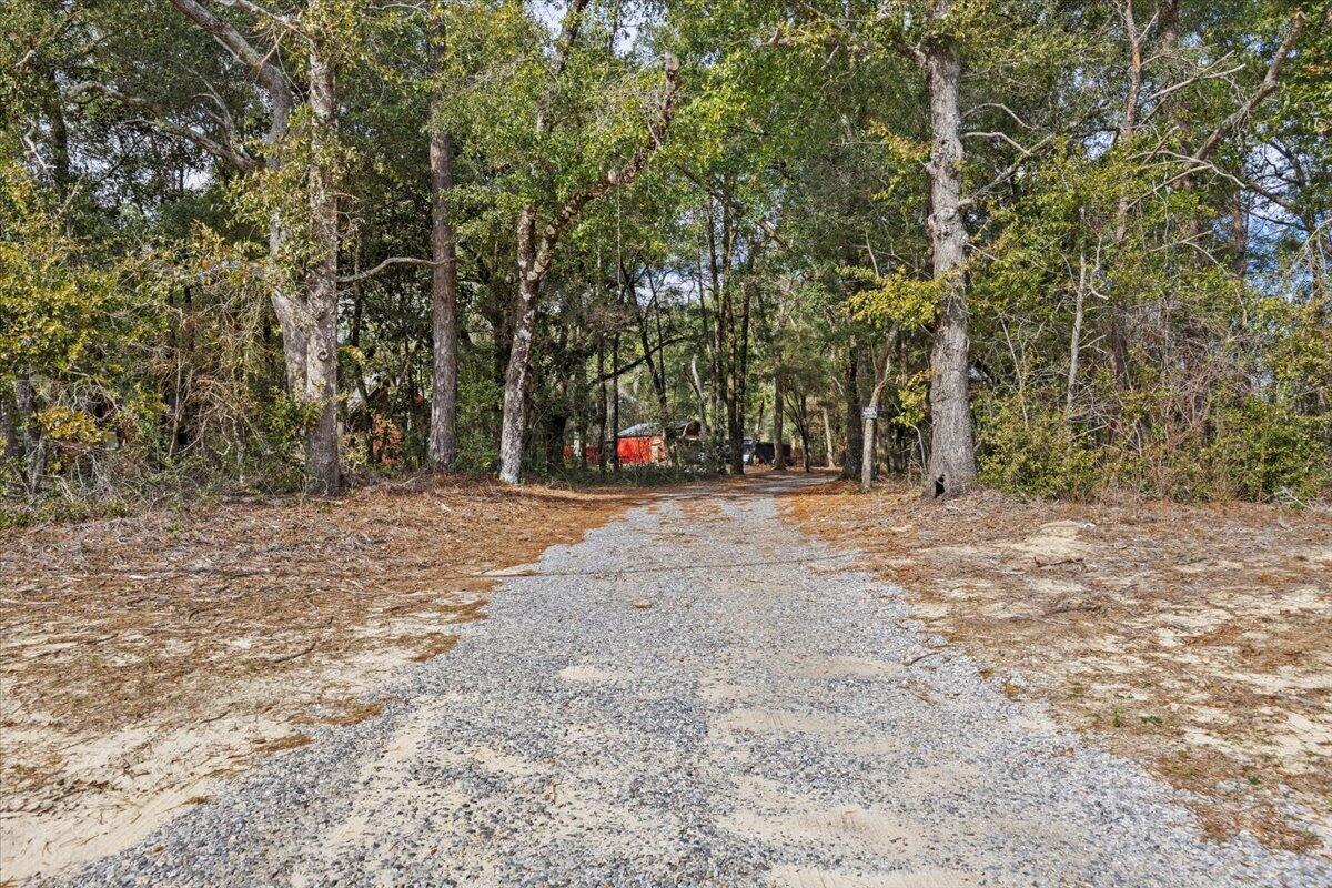 4500 Highway 20 Freeport, FL 32439 - Photo 35 of 53 32-1V3A8259