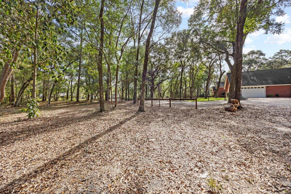 4500 Highway 20 Freeport, FL 32439 - Photo 53 of 53 53-1V3A8408